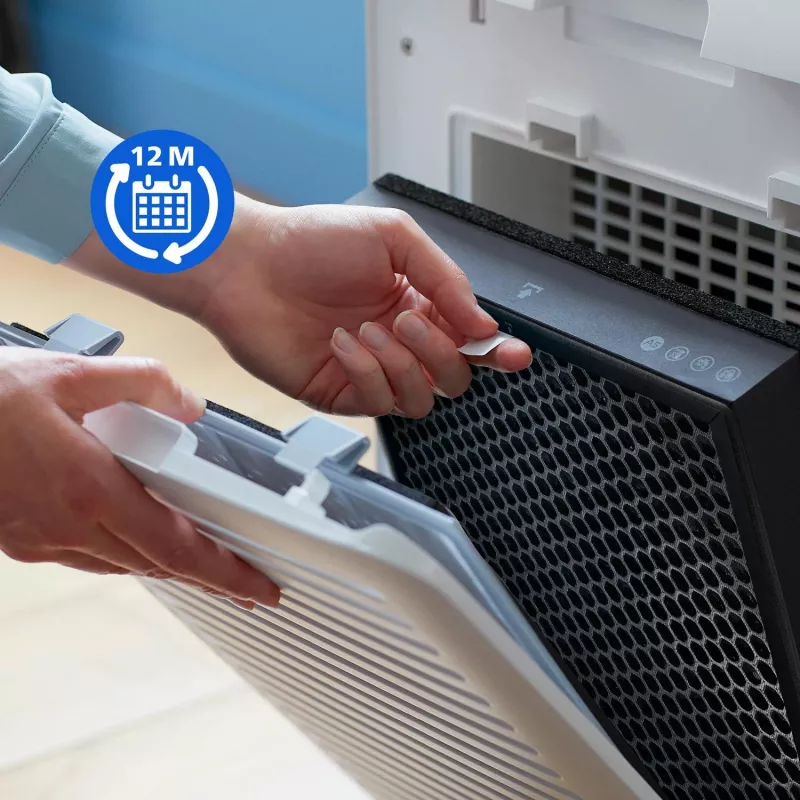 Philips serie 2000 filtro sostitutivo originale FY2420/30 filtro ai carboni attivi NanoProtect