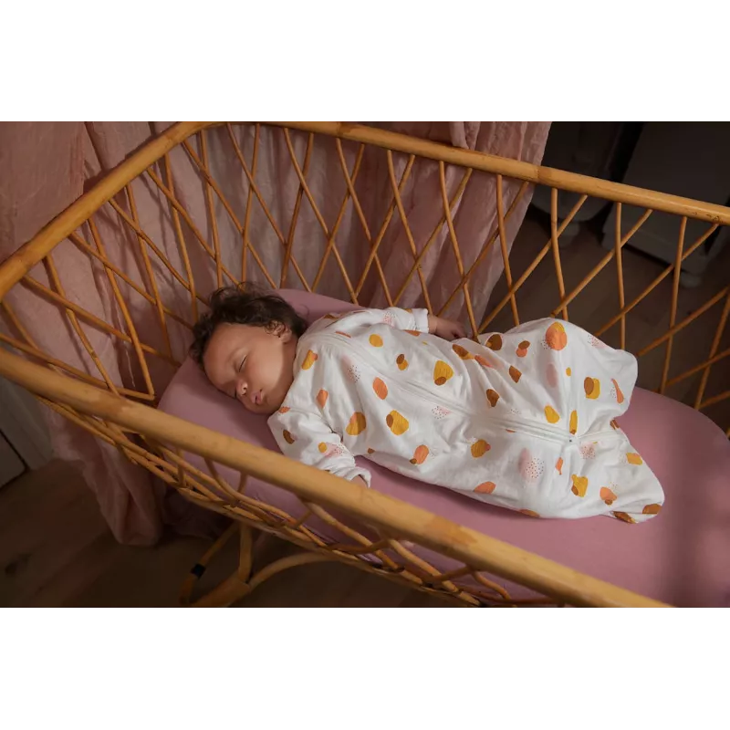 Telecamera Philips AVENT Connected SCD921/26 1080p 400m Wi-Fi
