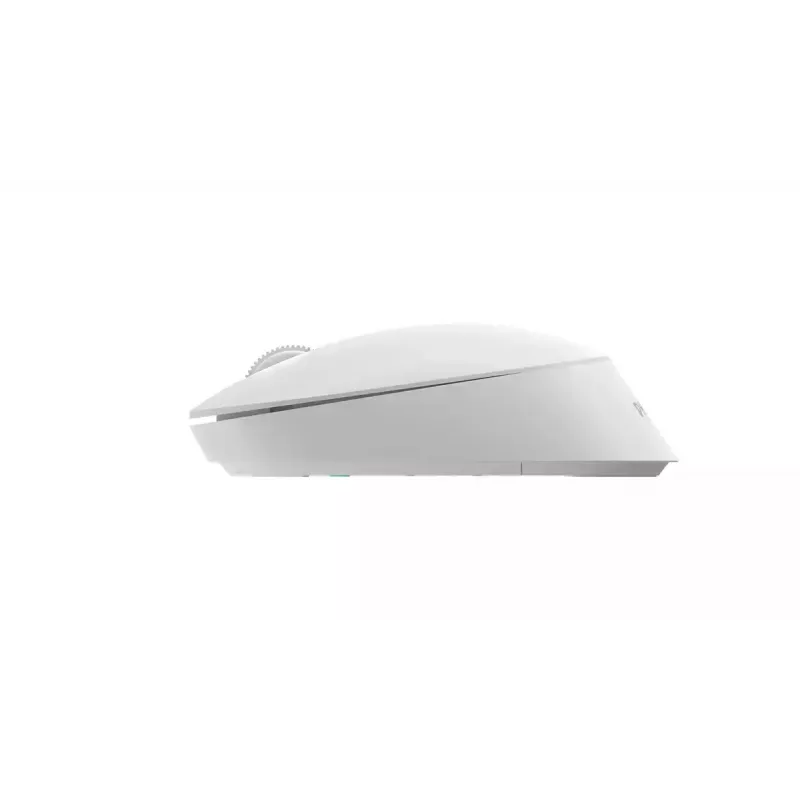 Mouse da ufficio Philips SPK7307W/00 ambidestro RF wireless ottico 1600 DPI bianco