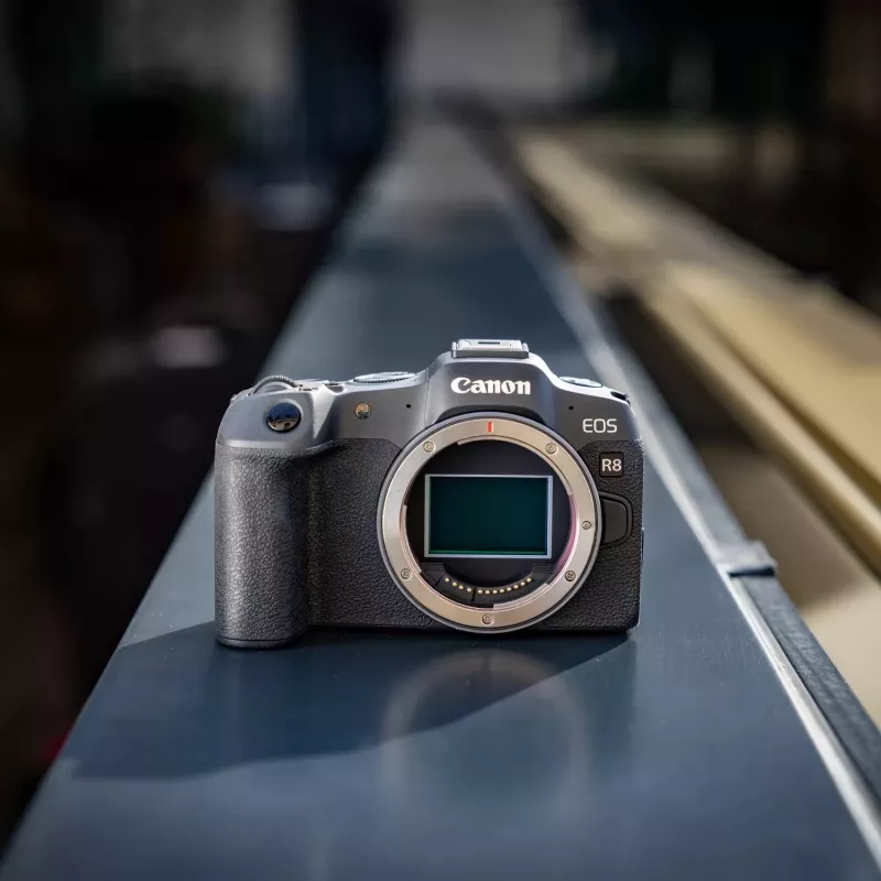 Canon EOS R8 + RF 24-105mm F4-7.1 IS STM MILC 24,2 MP CMOS 6000 x 4000 pixel nero
