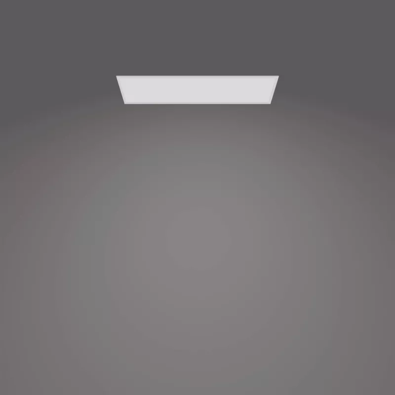Plafoniera Philips Functional Panel 36 W LED rettangolare 300×1200×42 mm, bianco