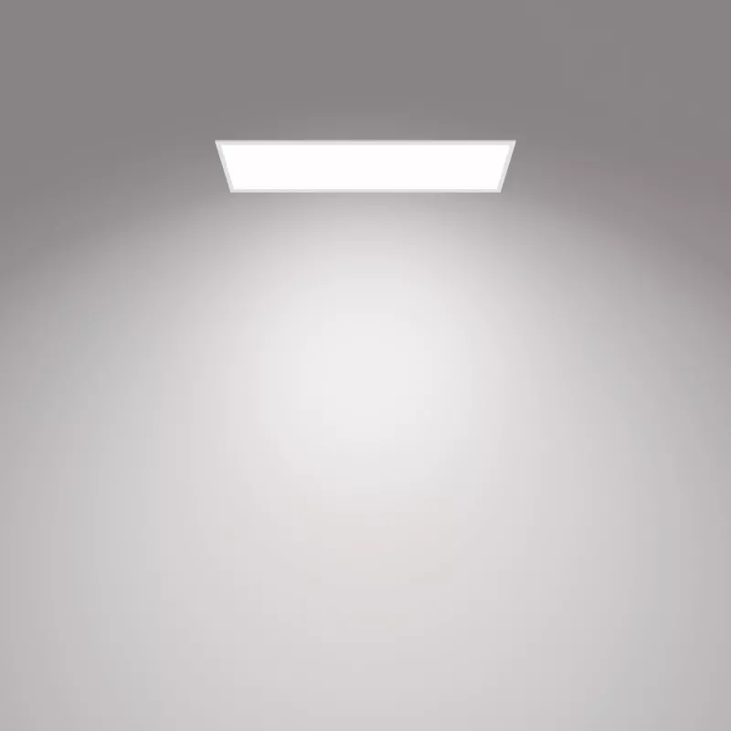 Plafoniera Philips Functional Panel 36 W LED rettangolare 300×1200×42 mm, bianco