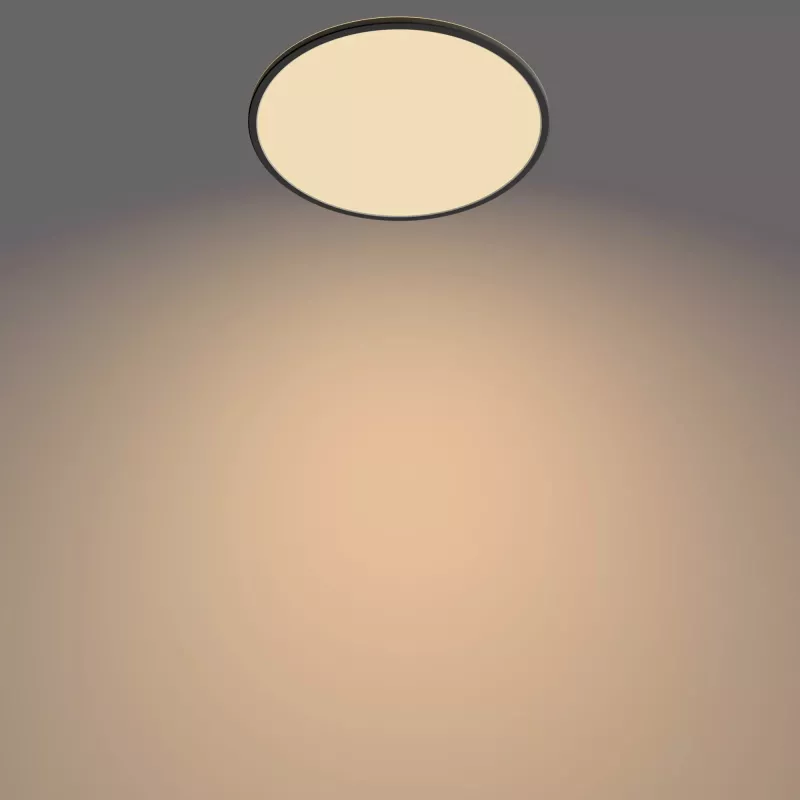 Plafoniera Philips Functional Super slim 22 W nero LED rotonda