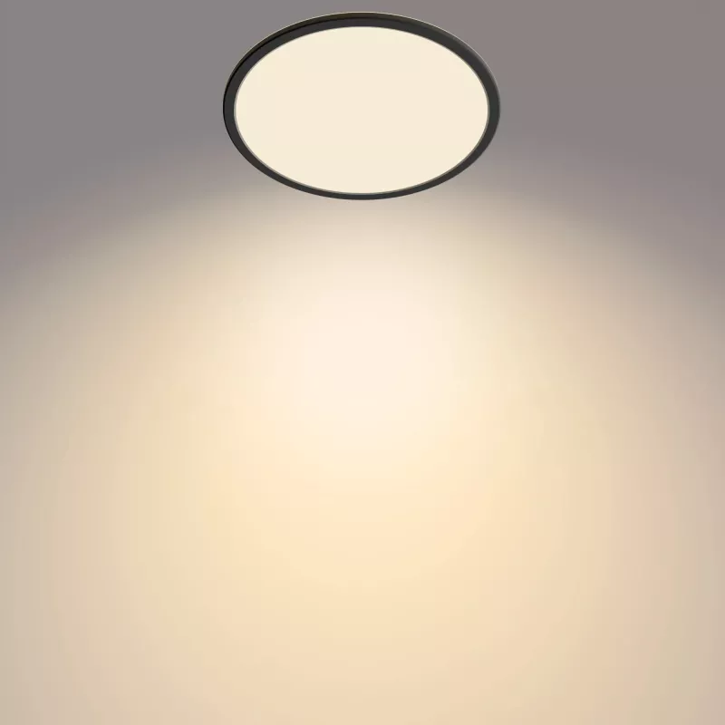 Plafoniera Philips Functional 18W 2700K 1500 lm LED a plafone dimmerabile nero