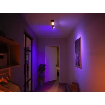 Philips Hue White and colour ambience Centris plafoniera 2 faretti