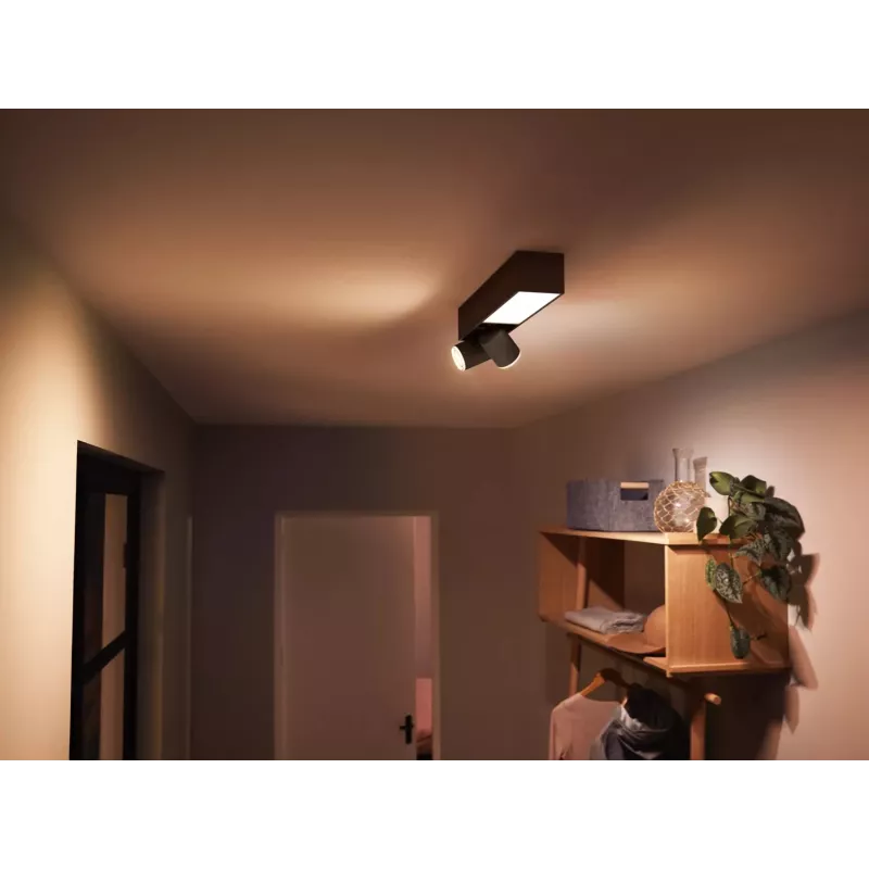 Philips Hue White and colour ambience Centris plafoniera 2 faretti