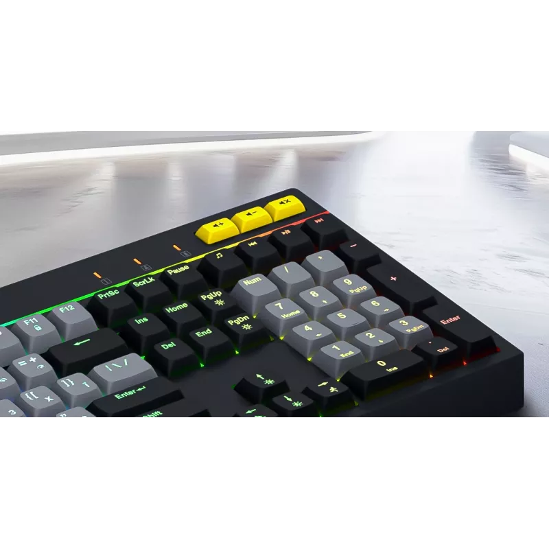 Tastiera HATOR Icefall Gaming USB QWERTY US English nero RGB LED