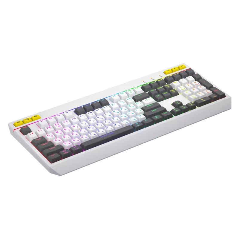 Tastiera HATOR Icefall Gaming USB QWERTY US English bianco Full-Size RGB LED