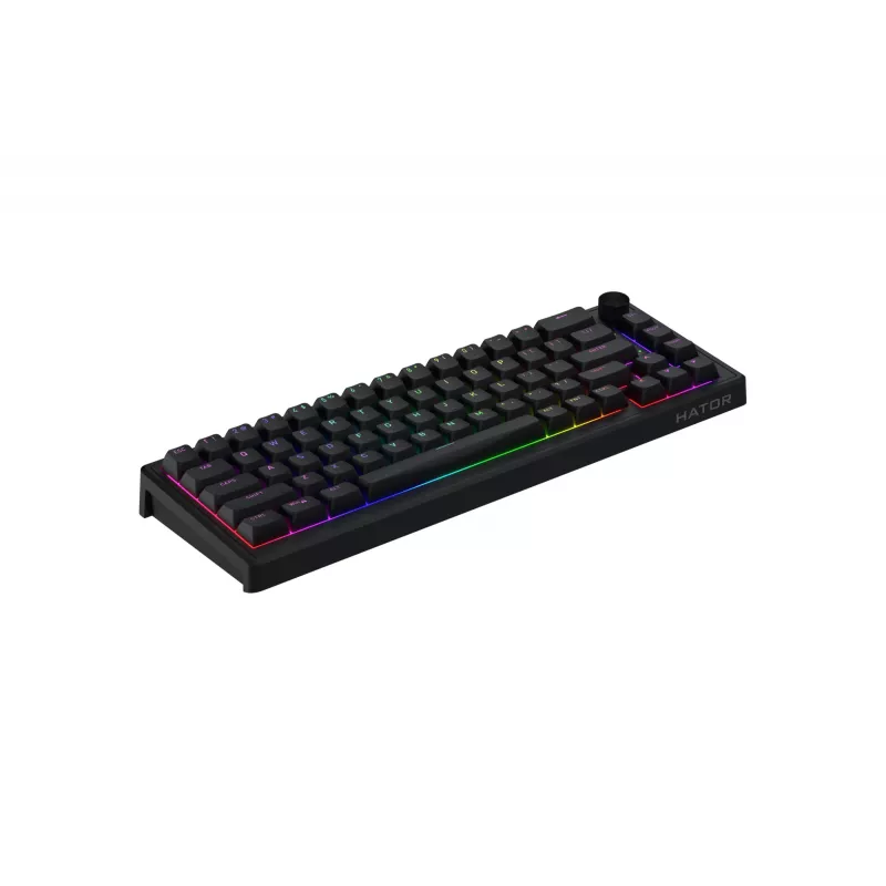 HATOR Skyfall 65 Cablata, Meccanica, USB-C, Aurum Sterling, 70M pressioni, RGB, nero, 790g