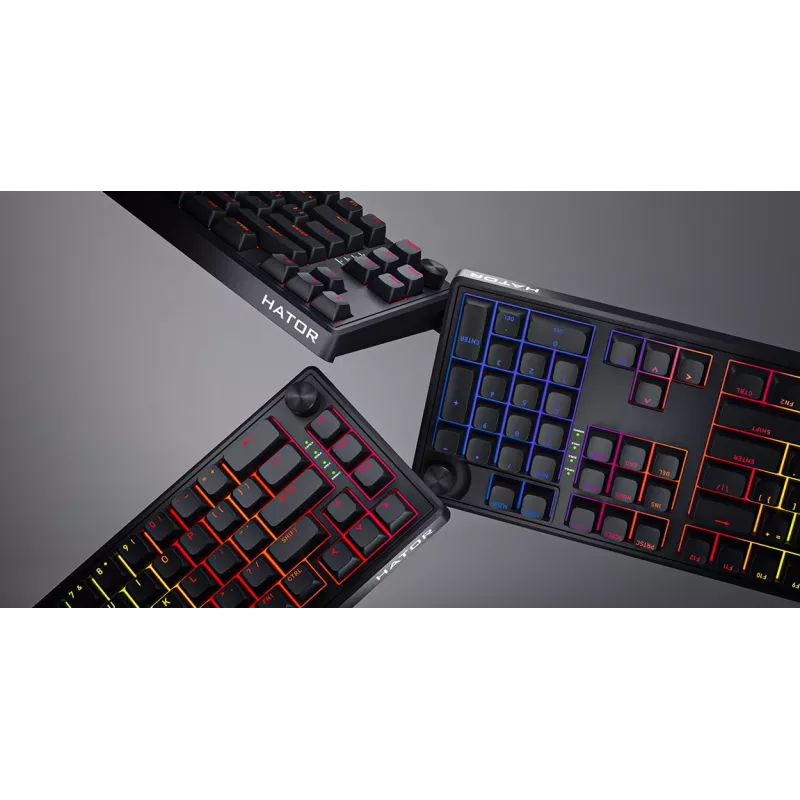 HATOR Skyfall 65 Cablata, Meccanica, USB-C, Aurum Sterling, 70M pressioni, RGB, nero, 790g