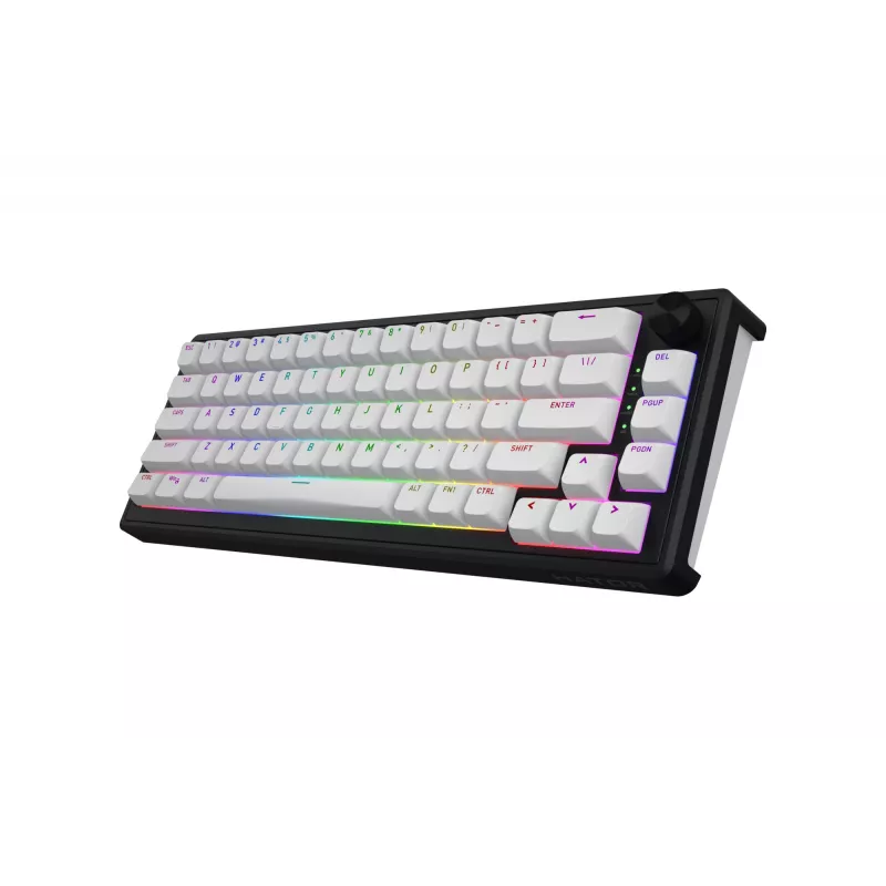 HATOR Skyfall Wireless 65 Tastiera Gaming USB + RF Wireless + Bluetooth QWERTY US English nero, bianco