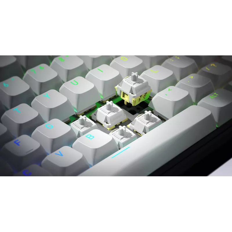 HATOR Skyfall Wireless 65 Tastiera Gaming USB + RF Wireless + Bluetooth QWERTY US English nero, bianco