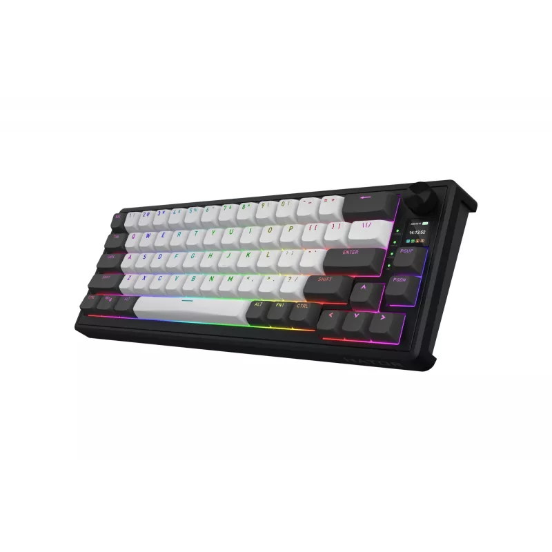 HATOR Skyfall Pro Wireless 65 Tastiera Gaming USB + RF Wireless + Bluetooth QWERTY US English nero, grigio