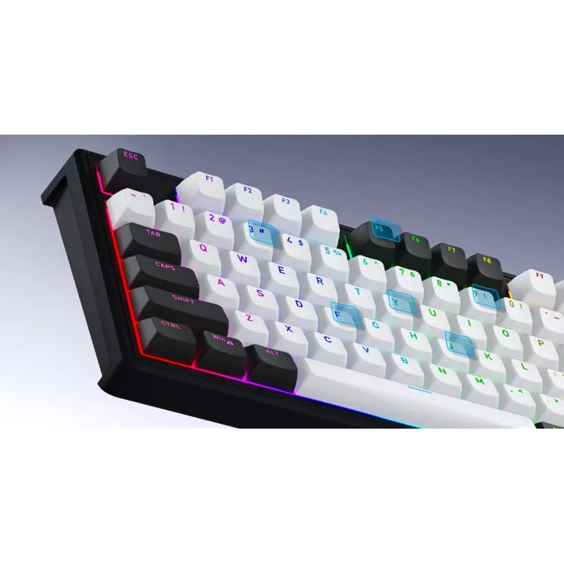 HATOR Skyfall Pro Wireless 65 Tastiera Gaming USB + RF Wireless + Bluetooth QWERTY US English nero, grigio