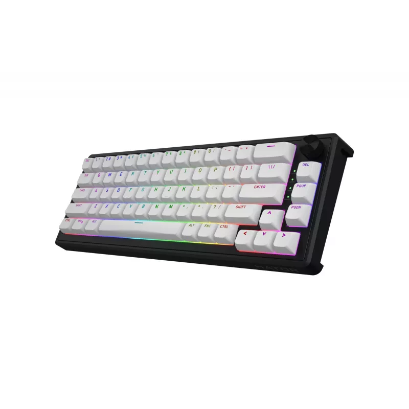 HATOR Skyfall 65 MAG ULTRA 8K Tastiera Gaming USB QWERTY US-English nero, bianco