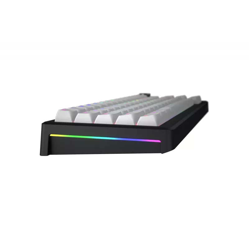 HATOR Skyfall 65 MAG ULTRA 8K Tastiera Gaming USB QWERTY US-English nero, bianco