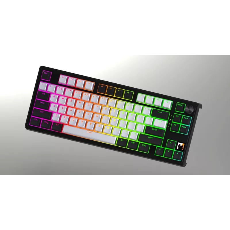 HATOR Skyfall 65 MAG ULTIMA 8K tastiera wireless Gaming USB + RF Wireless + Bluetooth QWERTY US English nero, bianco