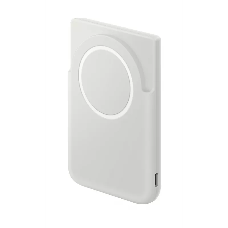 Samsung EB-U2500XJEGWW power bank 5000 mAh Ricarica wireless Grigio