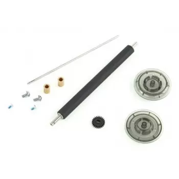 Zebra P1050667-008 kit rullo di stampa con liner per QLN420