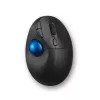 Trackball Kensington ProFit Ergo TB450, wireless