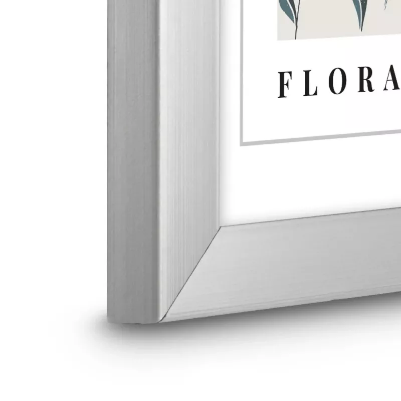 Hama Flora cornice singola argento