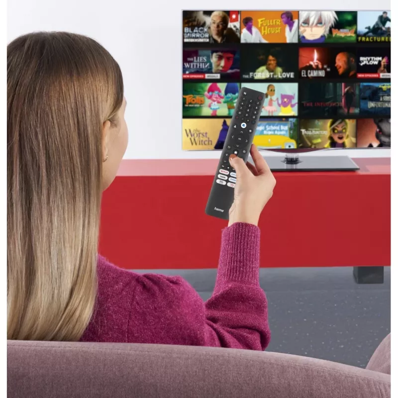 Hama 00221068 telecomando IR wireless TV a pulsanti