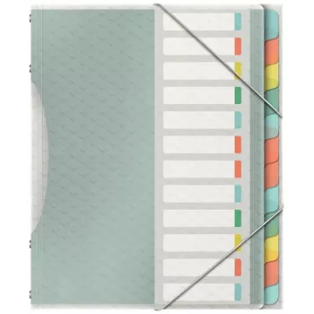 Esselte Colour'Breeze raccoglitore con 12 linguette, multicolore, polipropilene (PP), 266 mm, 20 mm, 370 g, 1 pz.