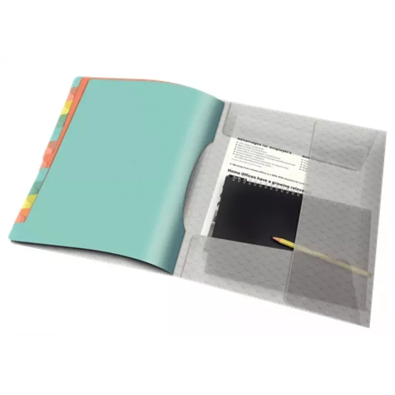 Esselte Colour'Breeze raccoglitore con 12 linguette, multicolore, polipropilene (PP), 266 mm, 20 mm, 370 g, 1 pz.