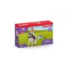 Personaggio giocattolo Schleich HORSE CLUB 42518