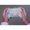 Controller da gaming RGB con filo Turtle Beach Afterglow Wave grigio – USB-C, cavo 3 m, per Nintendo Switch / Switch 2 / Switch OLED