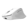Mouse da ufficio senza fili per destrimani TRUST Niven – RF + Bluetooth, 3200 DPI, 7 tasti, rotellina, bianco