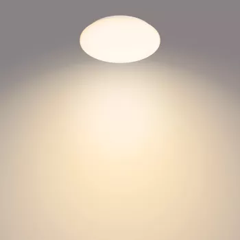 Plafoniera Philips Functional Moire 10 W, LED, lampadine integrate, 2700 K, 1000 lm, IP20, bianco