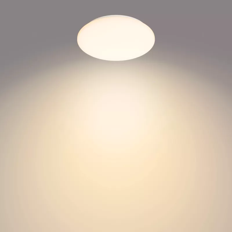 Plafoniera Philips Functional Moire 10 W, LED, lampadine integrate, 2700 K, 1000 lm, IP20, bianco