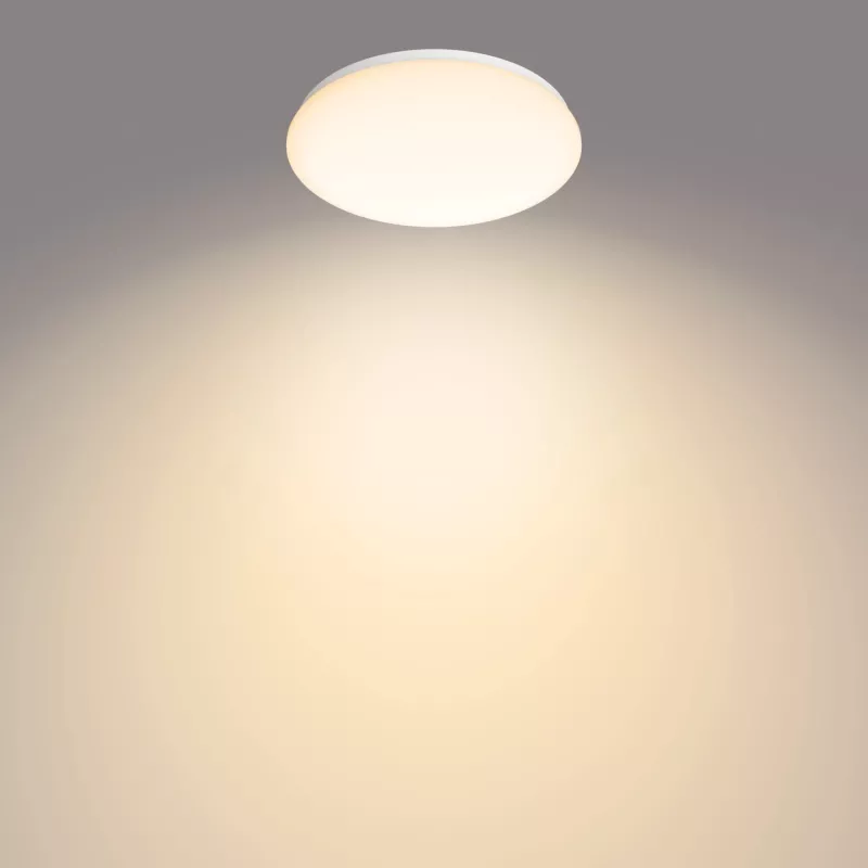 Plafoniera Philips Functional, LED, lampadine non sostituibili, 2700 K, 1700 lm, IP20, bianco