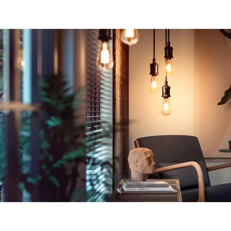 Lampadina intelligente Philips confezione da 1 ST72 E27 filamento Edison Bluetooth Zigbee