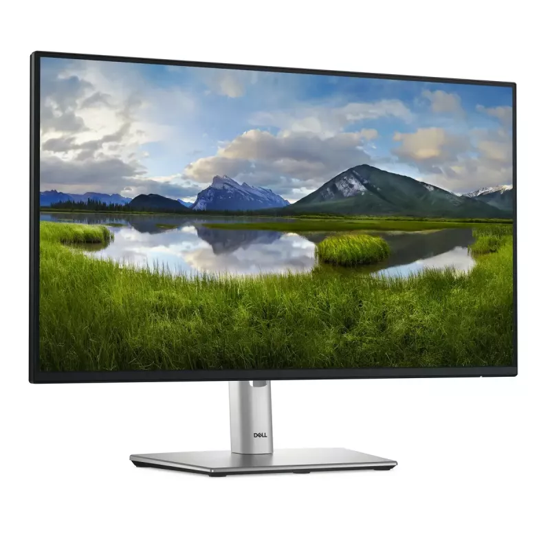 DELL Pro Plus P2425H monitor per computer 60,5 cm (23,8