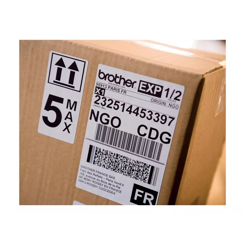 Etichettatrice Brother QL-1100 termica diretta 300 x 300 DPI 110 mm/sec con filo DK