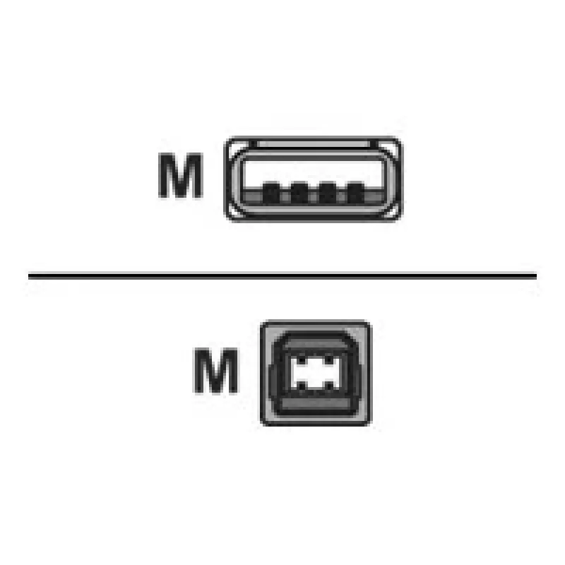 Logilink cavo di connessione USB 2.0 USB-A a USB-B connettore maschio USB A connettore maschio USB B