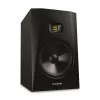 T8V - Monitor attivo