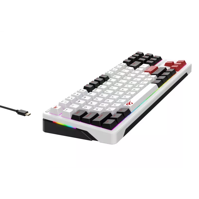 Tastiera gaming Havit KB902L 80% con filo USB QWERTY 88 tasti RGB LED