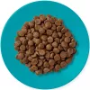 APPLAWS Adult Ocean fish with salmon - Crocchette per gatti - 1,8 kg