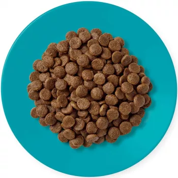 APPLAWS Adult Ocean fish with salmon - Crocchette per gatti - 1,8 kg