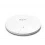 DrayTek Vigor AP1062C WLAN-AX MESH AP outdoor PoE (senza alimentatore) (vAP1062c-DE-AT-CH)