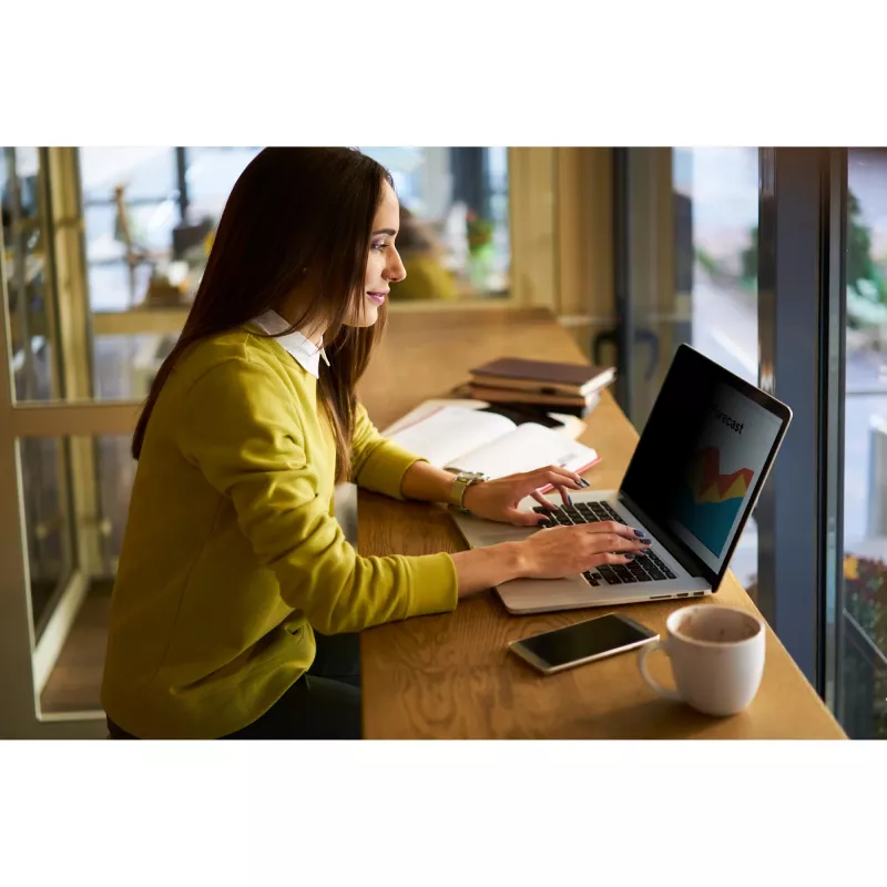 3M - Filtro privacy per notebook - schermo chiaro - autoadesivo - 34,2 cm (13.5) - per Microsoft Surface Laptop (13.5), Laptop 2 (13.5) (7100287810)