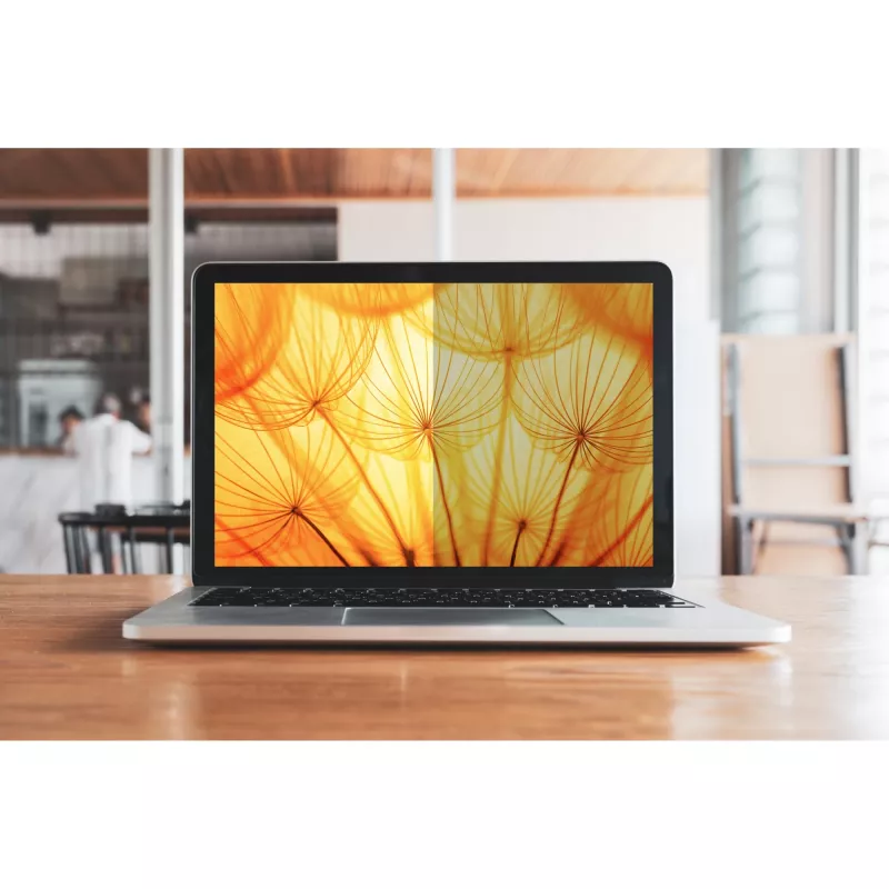 3M - Filtro privacy per notebook - schermo chiaro - autoadesivo - 34,2 cm (13.5) - per Microsoft Surface Laptop (13.5), Laptop 2 (13.5) (7100287810)