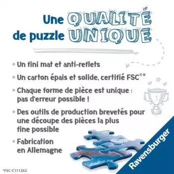 Puzzle Ravensburger 17444 3000 pezzi età 14-99