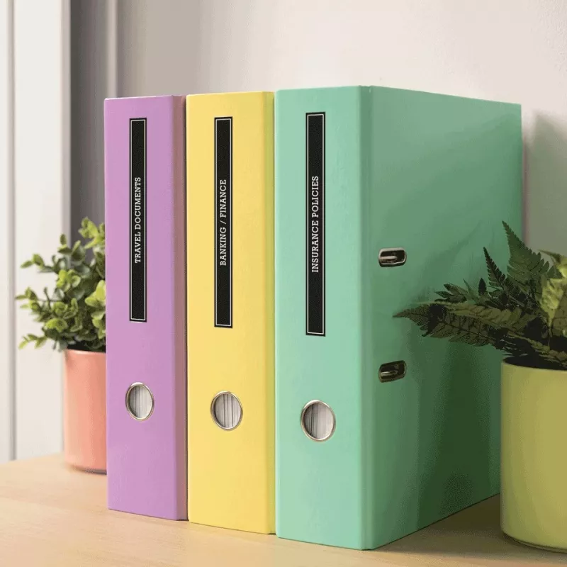 Brother PT-N25BT etichettatrice con connettività Bluetooth, dispositivo portatile compatto
