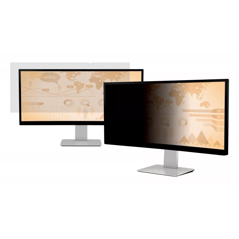 Filtro privacy per monitor 3M PF290W2B