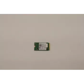 SSD Lenovo 256GB M.2 2242 PCIe4x4 Mic OP (5SS1D71680)