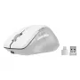 Speedlink LIBERA Mouse Bluetooth silenzioso wireless ricaricabile bianco